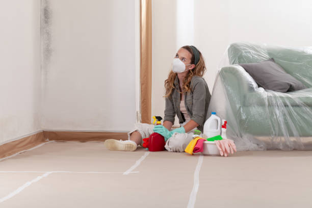 Reliable Basement Mold Remediation contractor in Allentown, PA by Mold Remediation HQ